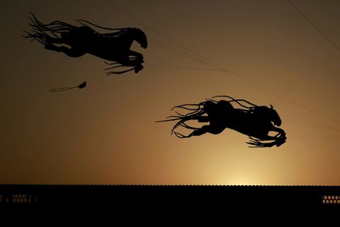 Fliegende Pferde