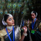 Neu Delhi, Indien. Noch ist es nur eine Probe für die Parade am Tag der Republik. Erst am 26. Januar wird es also ernst. Schön wie Pfauen sind die Frauen aber in ihren Kostümen trotzdem schon 