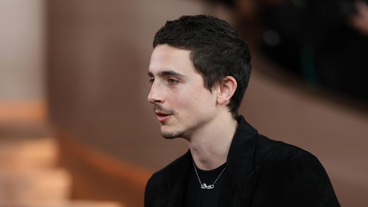 Timothee Chalamet auf dem roten Teppich