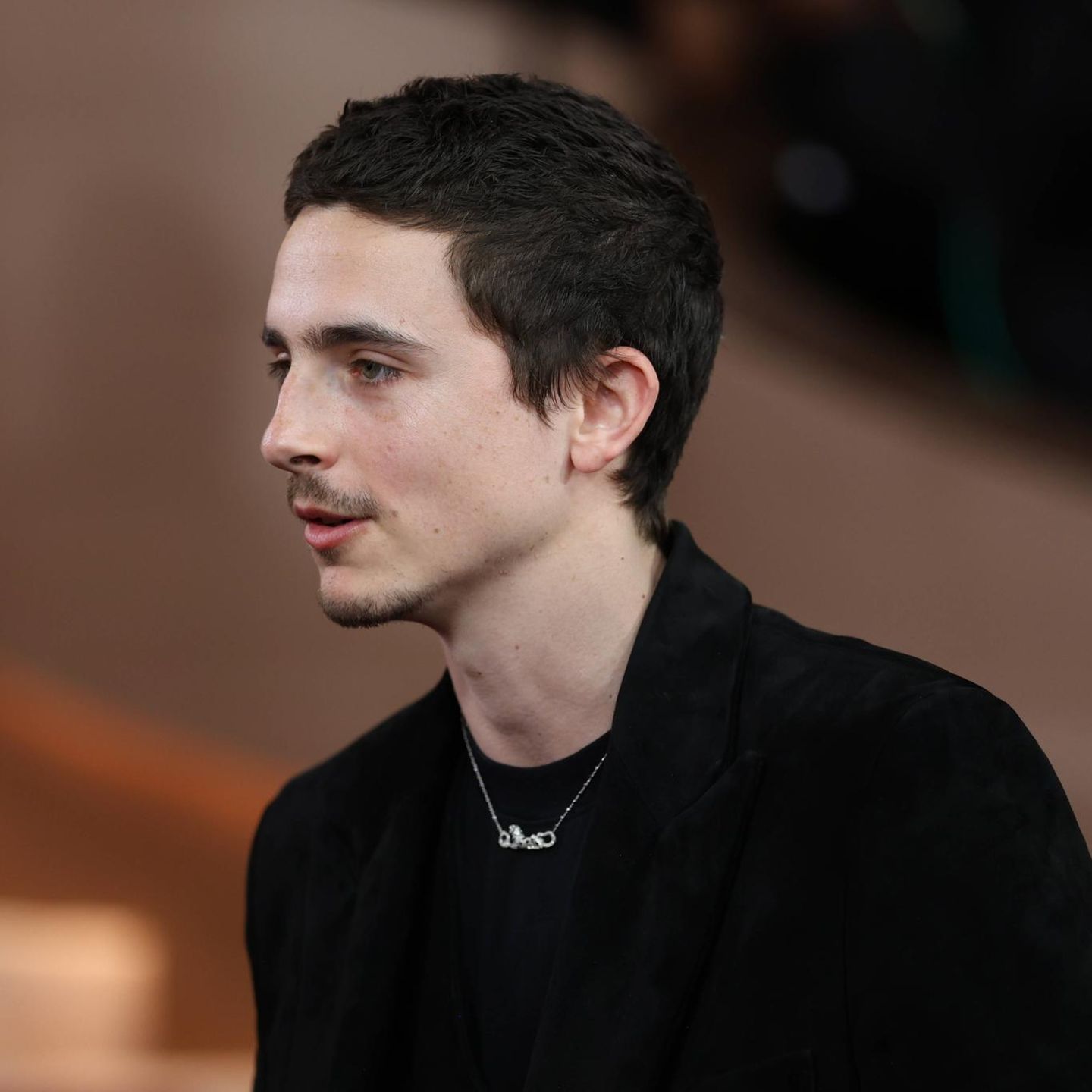 Timothee Chalamet auf dem roten Teppich