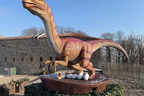 Die Modelle der Urzeitechsen legten auf ihrer Reise von China nach Erfurt rund 20.000 Kilometer auf dem Meer zurück. Foto: -/SWE