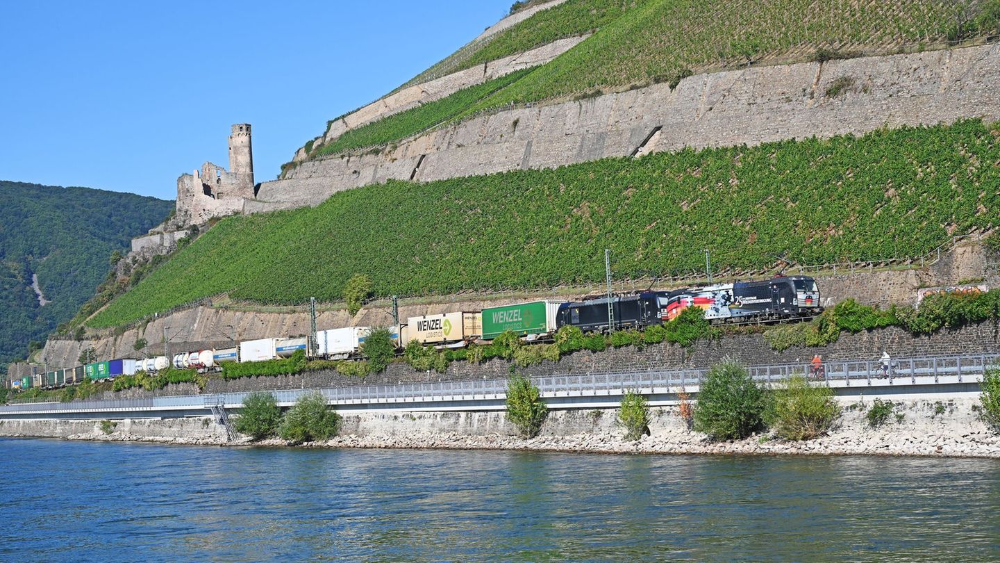 Die rechtsrheinische Bahnstrecke, die von Juli bis Dezember generalsaniert werden soll, führt an zahlreichen Burgen vorbei. (Arc