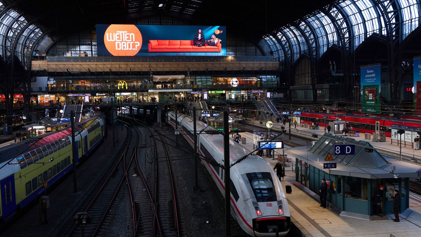 Züge des Regional- und Fernverkehrs fielen aus oder hatten Verspätungen. (Archivbild) Foto: Georg Wendt/dpa