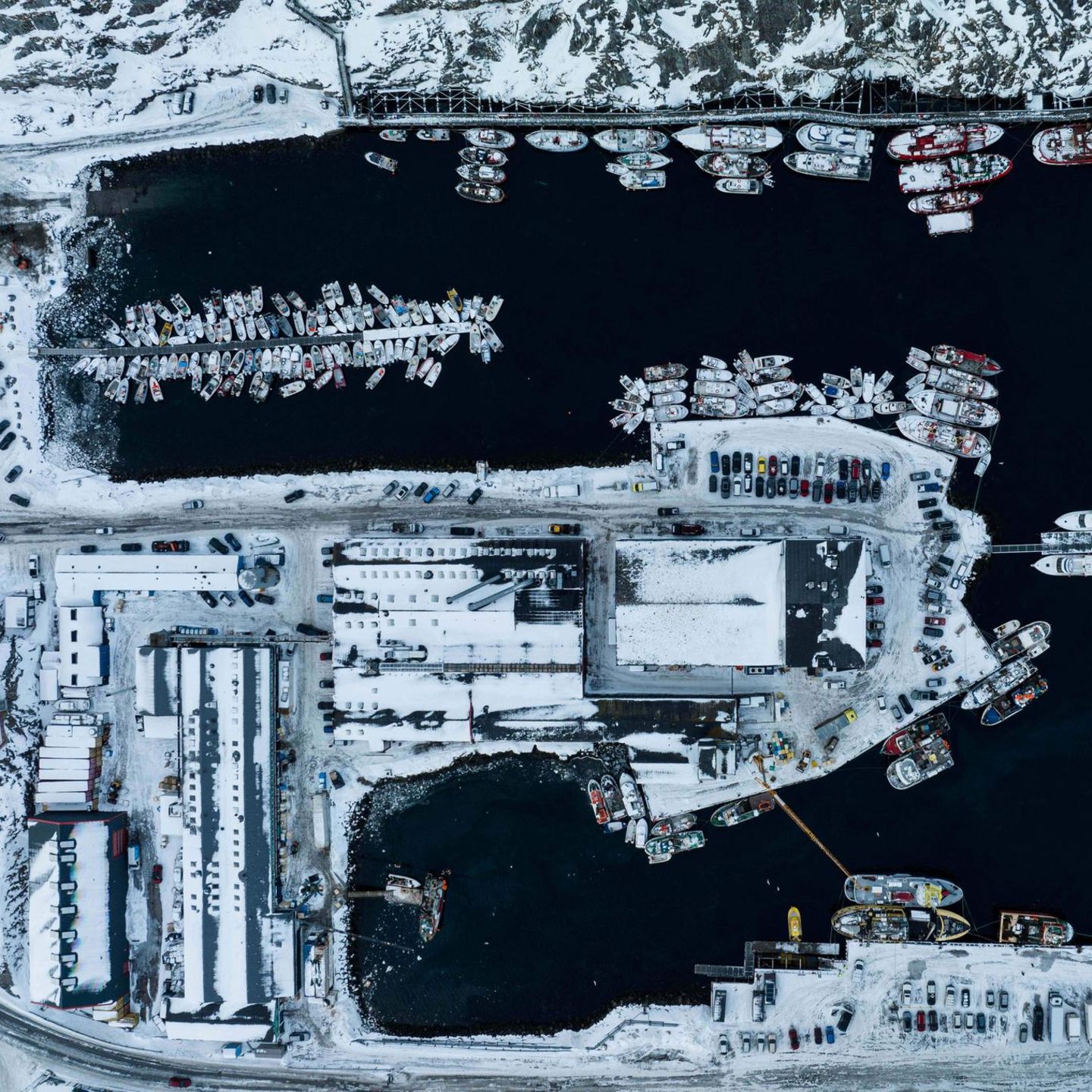 Nuuk, Grönland. Der Hafen der arktischen Hauptstadt sieht aus der Vogelperspektive ruhig aus. Ein Ort, an dem man sich vielleicht niederlassen könnte. Doch auf dem Boden brodeln Wut und Widerstand gegen das, was US-Präsident Donald Trump mit der Arktisinsel Grönland vorhat – er will sie besitzen