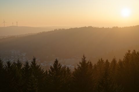 Anfänglicher Nebel weicht der Sonne. Foto: Uwe Anspach/dpa