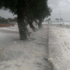 Sturmtief "Harry" sorgt für starke Verwüstung auf Mallorca