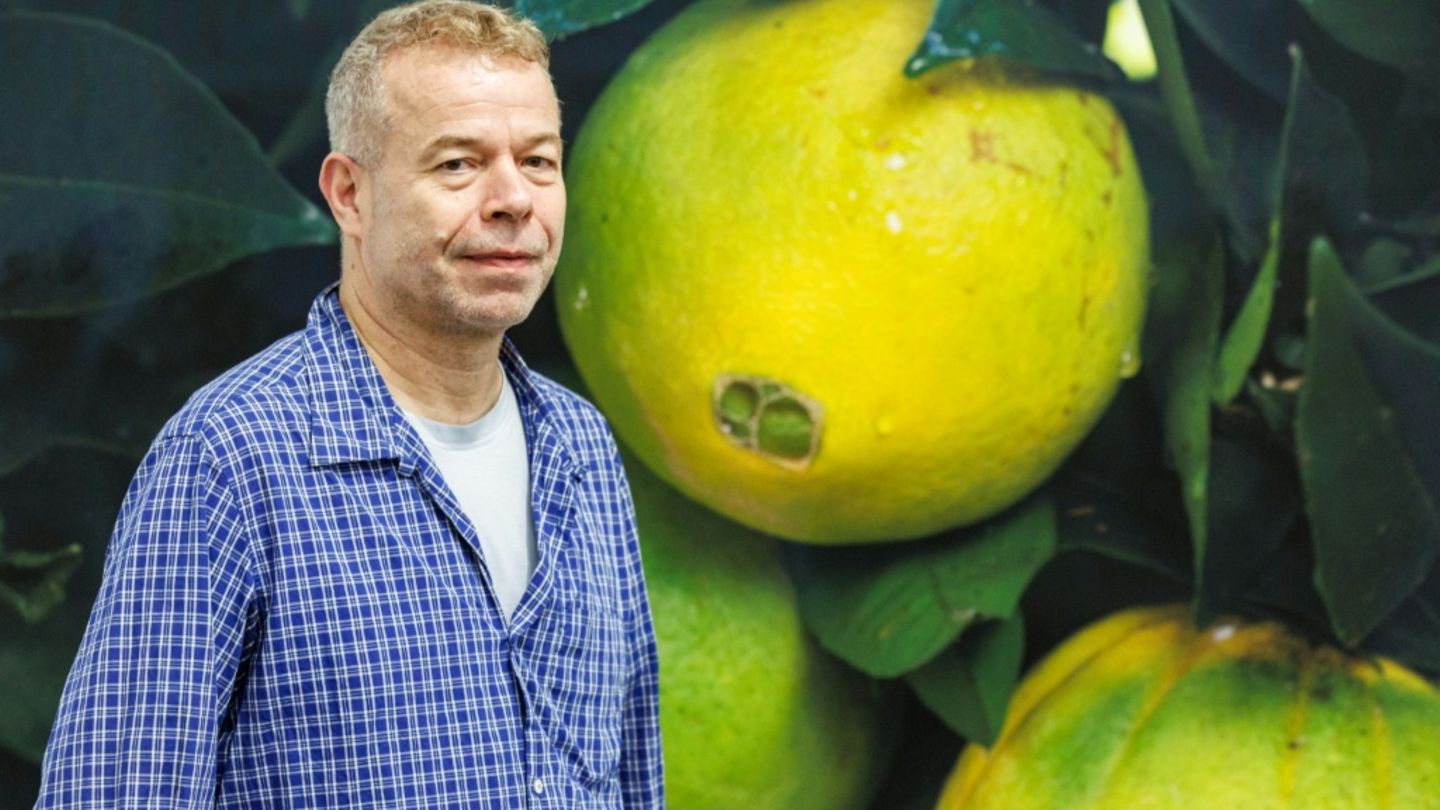 Band Bronski Beat half Star-Fotograf Wolfgang Tillmans beim Outing