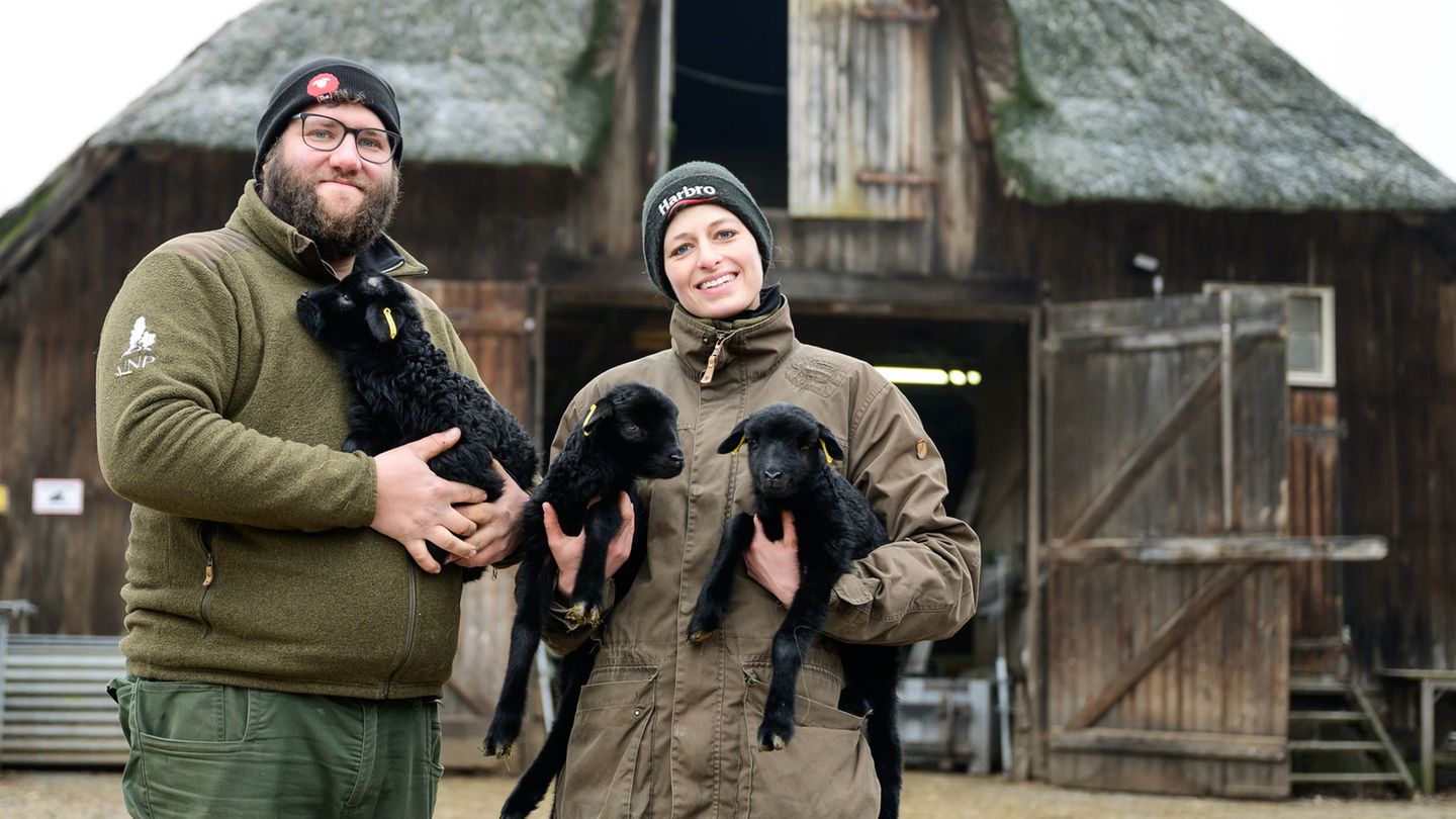 Für Schäfer und Schäferinnen wie Clemens Lippschuss und Josefine Schön ist die derzeitige Lammzeit eine extrem intensive und arb