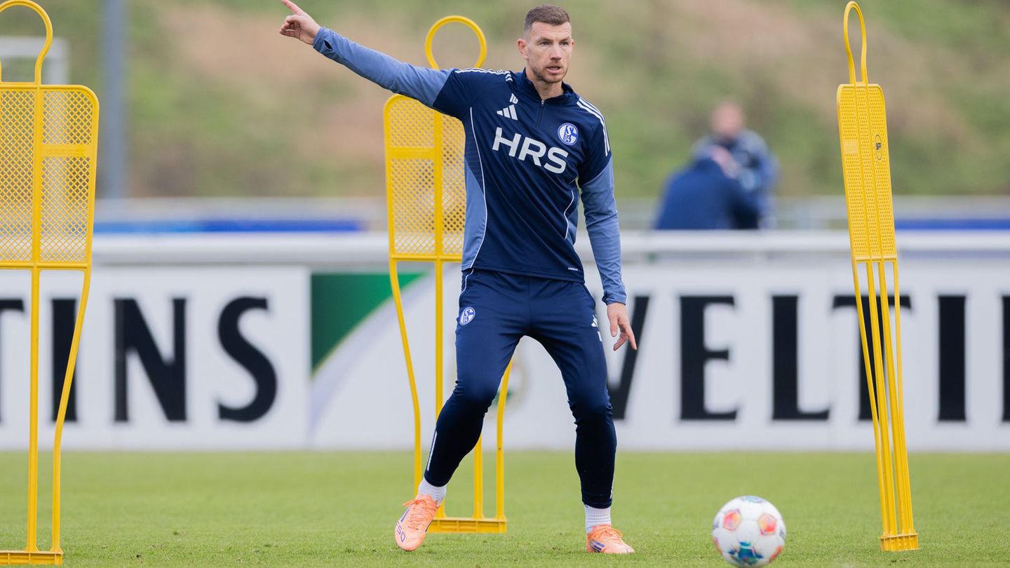 Edin Dzekos erstes Training auf Schalke lockt über 1.000 Fans an. Foto: Rolf Vennenbernd/dpa