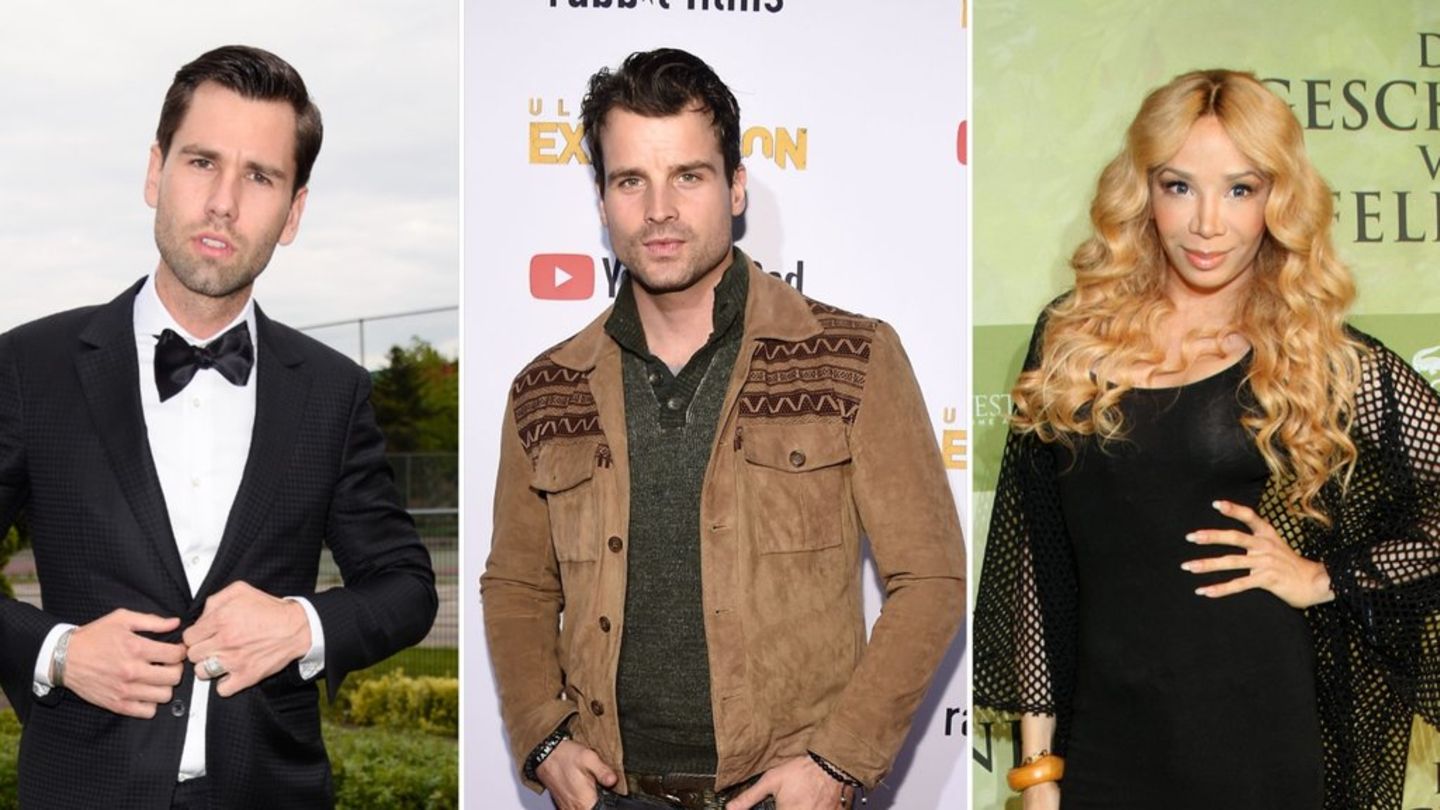 Dschungelcamp: Diese einstigen Camper sind abgetaucht