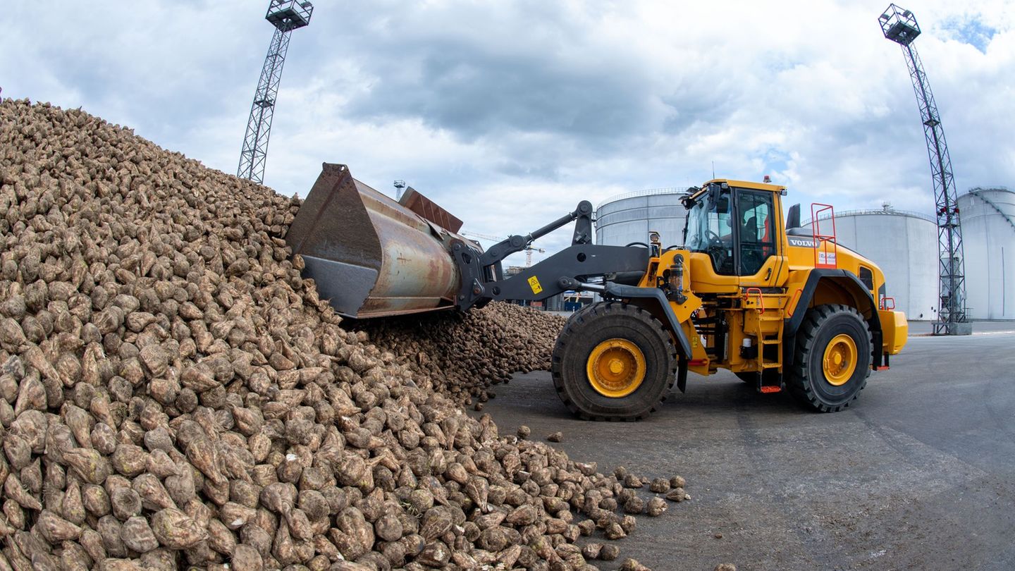 Die Verarbeitung von Zuckerrüben ist beendet. (Archivbild) Foto: Stefan Sauer/dpa