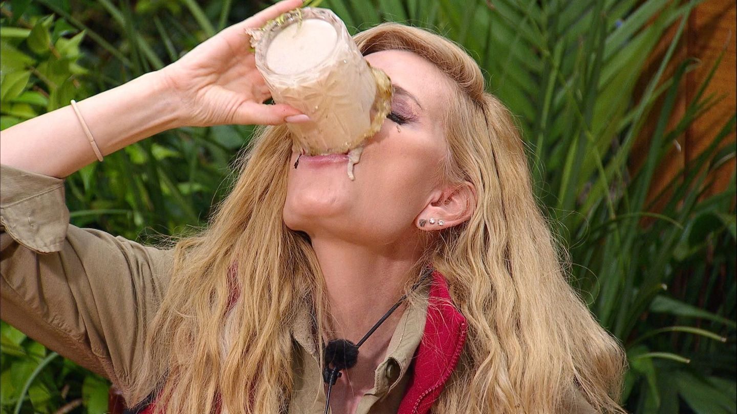 Dschungelcamp Mirja du Mont