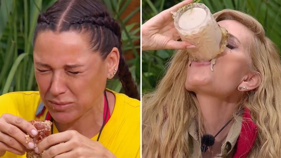 IBES, Tag 1: Diese Dschungelprüfung ist nicht für jeden Geschmack