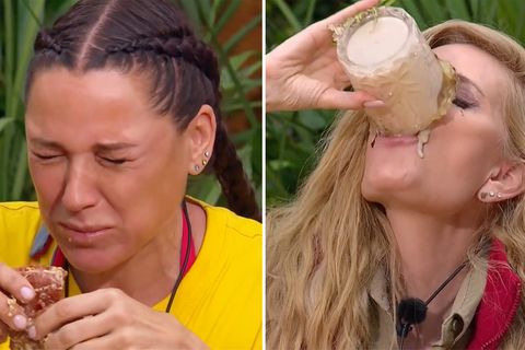 IBES, Tag 1: Diese Dschungelprüfung ist nicht für jeden Geschmack