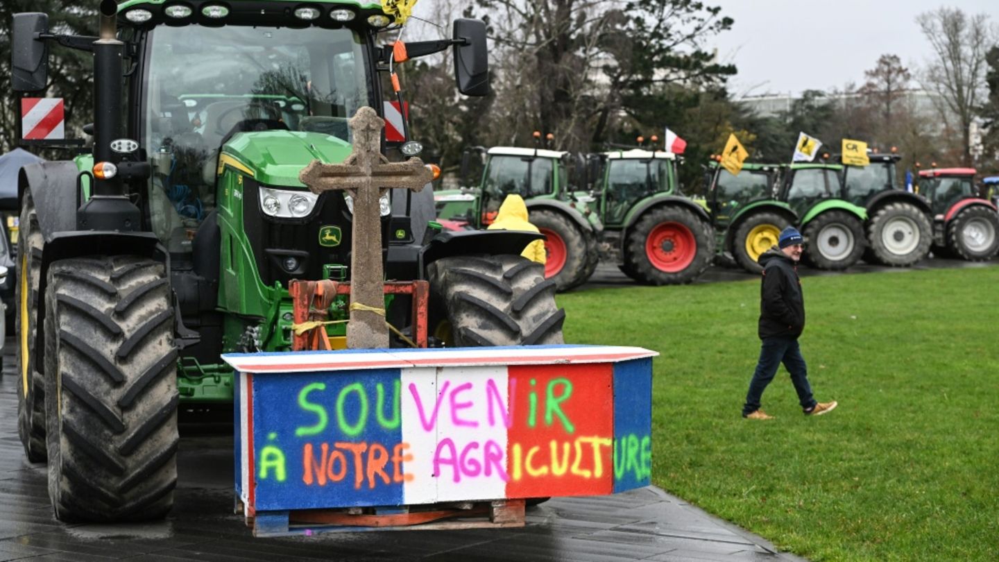 Nach Mercosur-Abstimmung: Grüne bieten Votum für schnelle Ratifizierung an