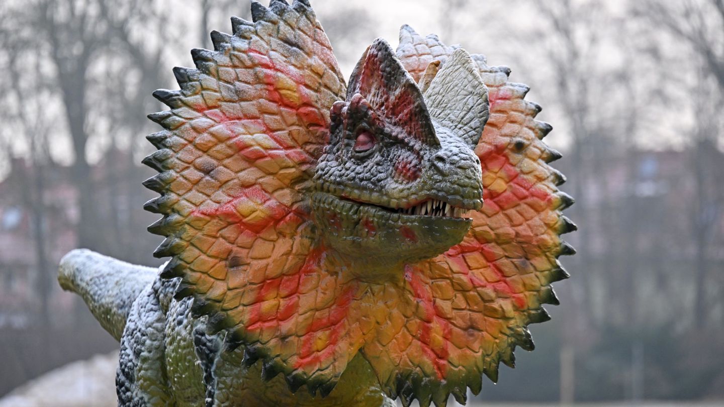 Die Ausstellung eröffnet mit einer Woche Verspätung. (Archivbild) Foto: Martin Schutt/dpa