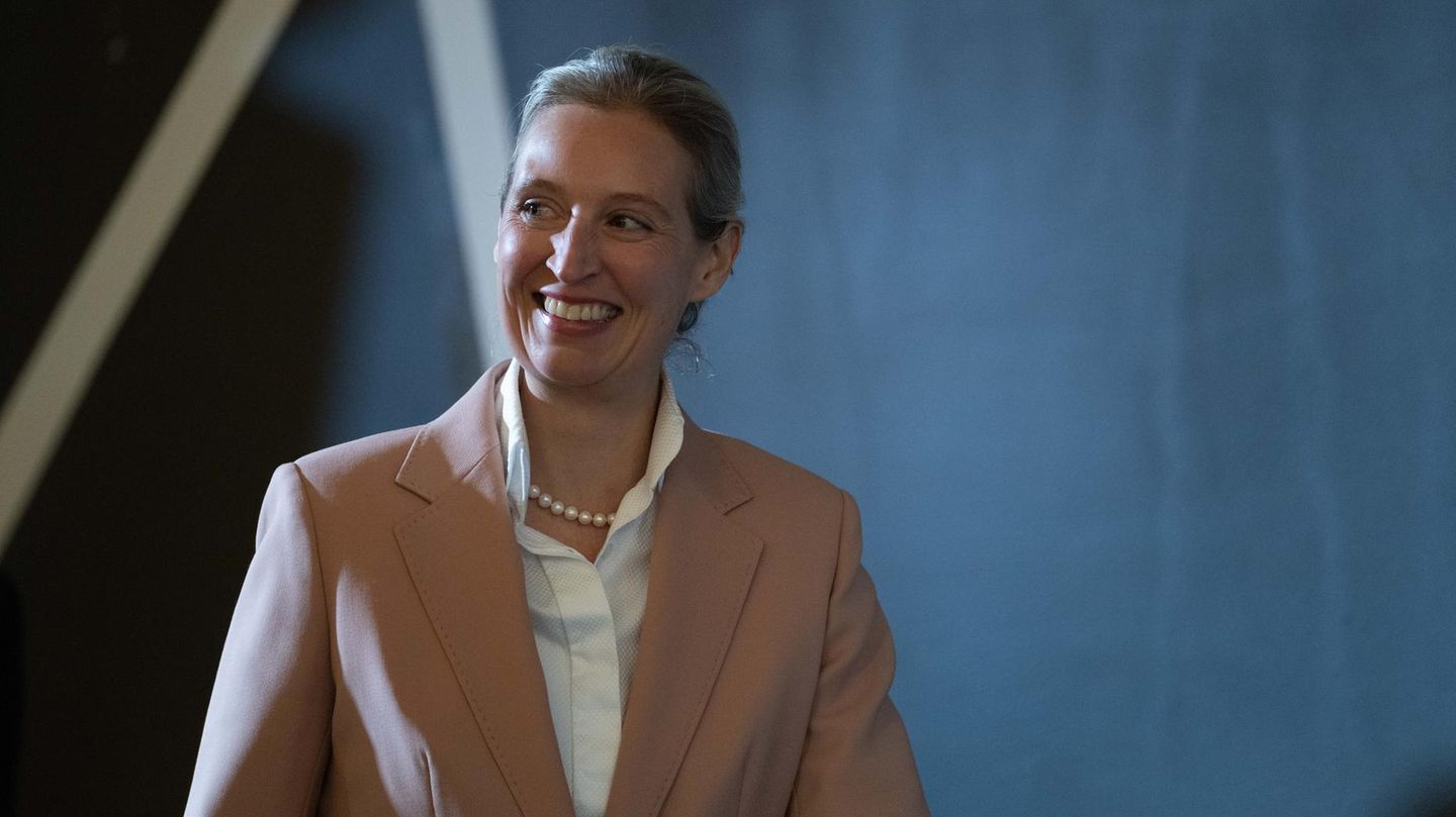 AfD-Bundesvorsitzende Alice Weidel