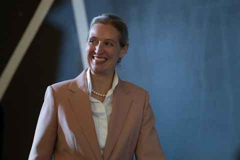 AfD-Bundesvorsitzende Alice Weidel
