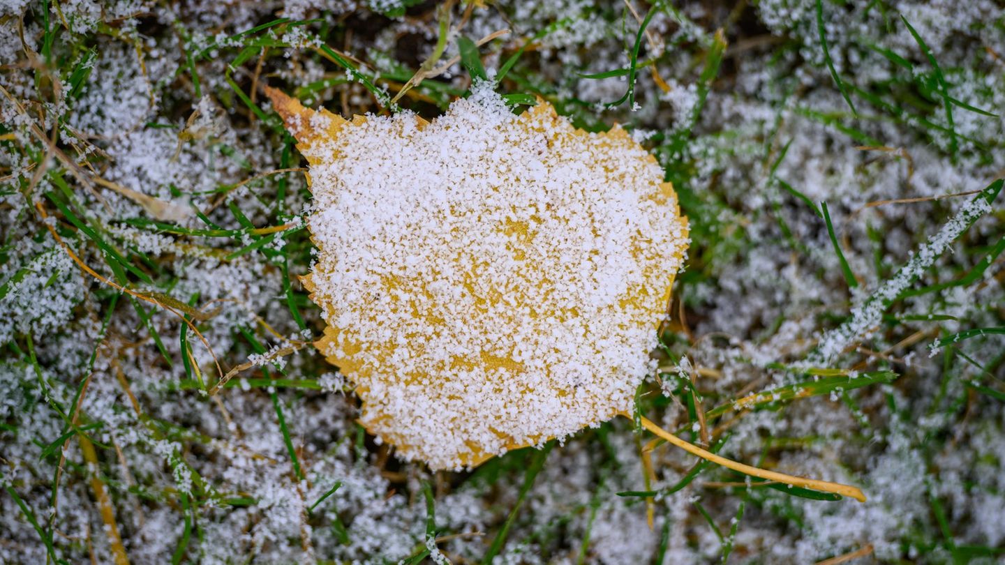 Ab Sonntagabend ist vor allem im Osten mit Schnee zu rechnen. (Symbolbild) Foto: Patrick Pleul/dpa