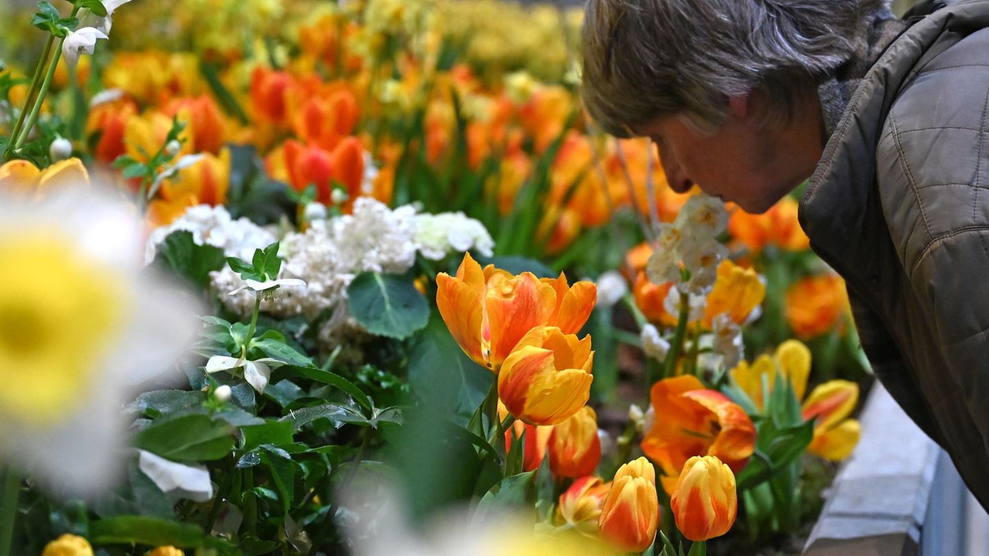 Die Besucherzahl auf der diesjährigen Woche übertraf die Erwartungen deutlich. (Archivbild) Foto: Elisa Schu/dpa