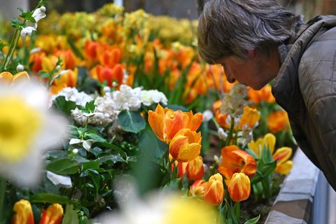 Die Besucherzahl auf der diesjährigen Woche übertraf die Erwartungen deutlich. (Archivbild) Foto: Elisa Schu/dpa