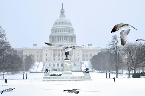 Schnee in der US-Hauptstadt Washington