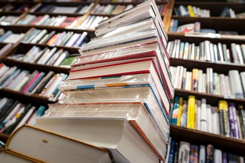 In Bibliotheken liehen die Rheinland-Pfälzer oft Bestseller und Klassiker aus. (Symbolbild) Foto: Frank Rumpenhorst/dpa