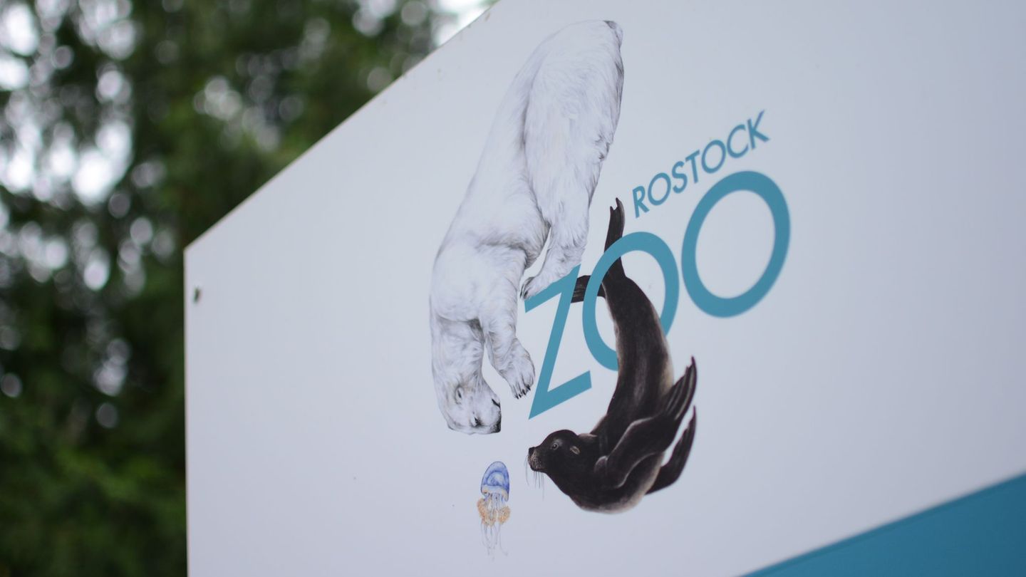 Damit niemandem was passiert, bleibt der Rostocker Zoo geschlossen. (Archivbild) Foto: Christopher Hirsch/dpa