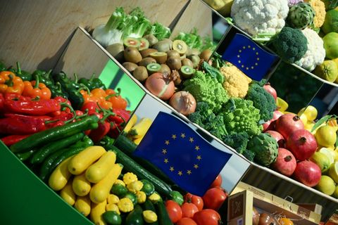 Kisten mit Obst und Gemüse auf der Grünen Woche