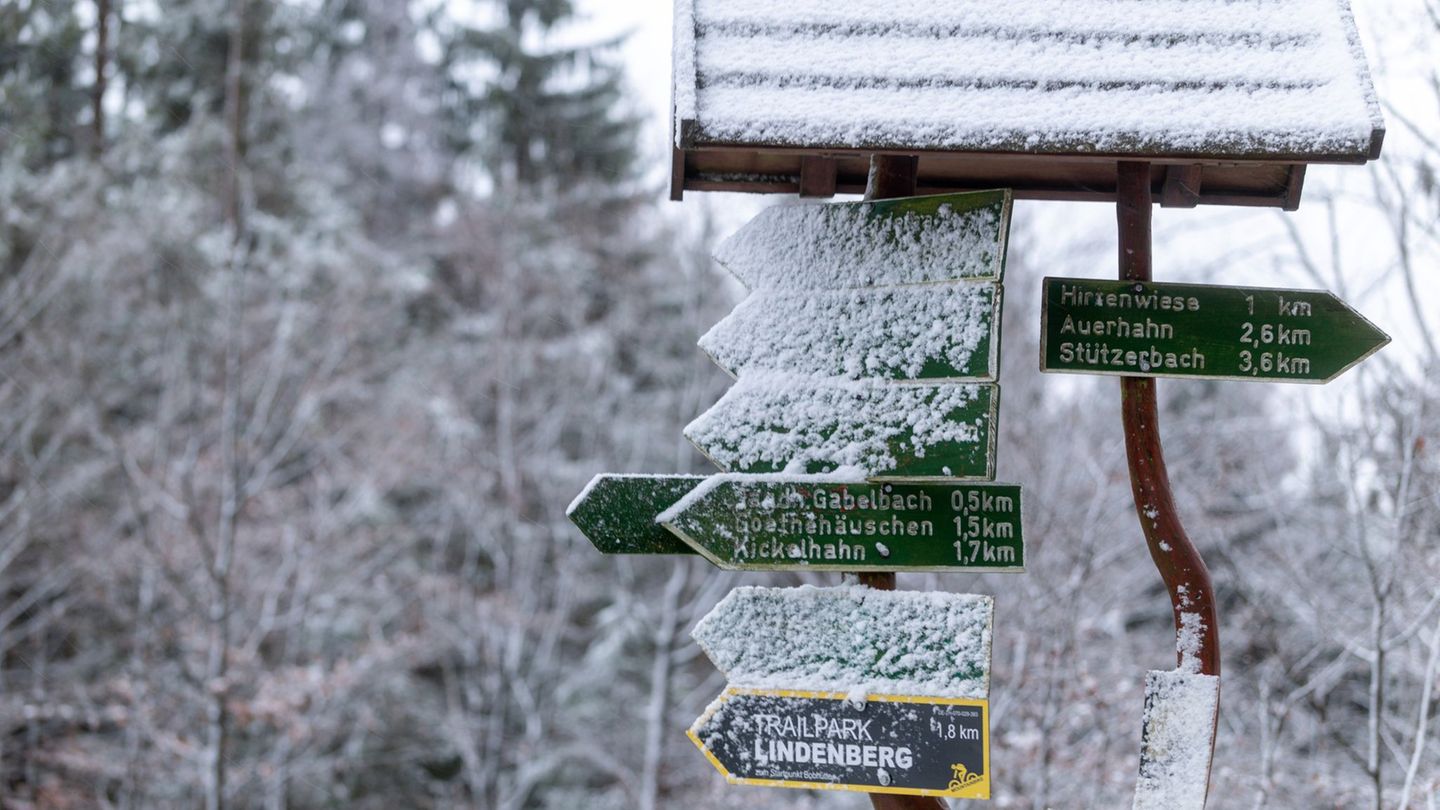Der Neuschnee lässt auf verbesserte Wintersportmöglichkeiten im Thüringer Wald hoffen. (Archivbild) Foto: Michael Reichel/dpa