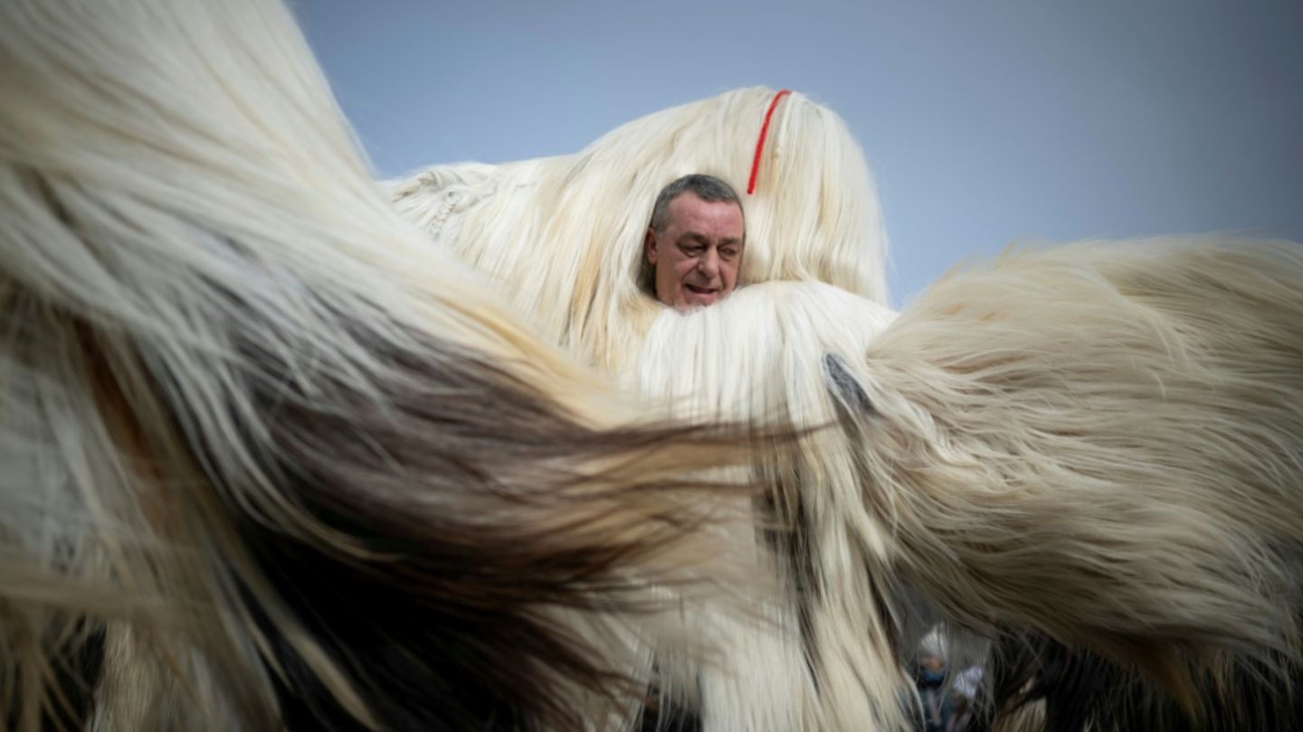 Haarige Angelegenheit