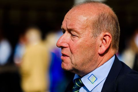 Landesbauernpräsident Lucht fordert die Politik zum Handeln auf. (Archivbild) Foto: Frank Molter/dpa