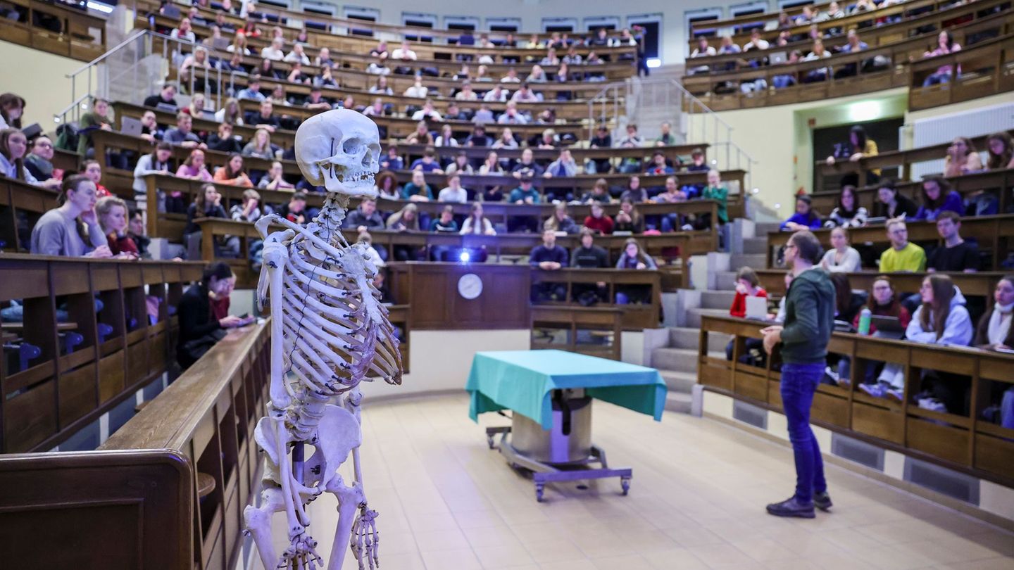 Die Landarztquote an den Unis in MV soll ausgeweitet werden und künftig auch die Bereiche Zahnmedizin und Pharmazie umfassen. (S