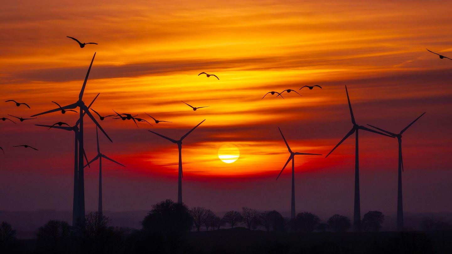 Rettung oder Schandfleck? Windräder sind wohl die umstrittenste alternative Energiequelle