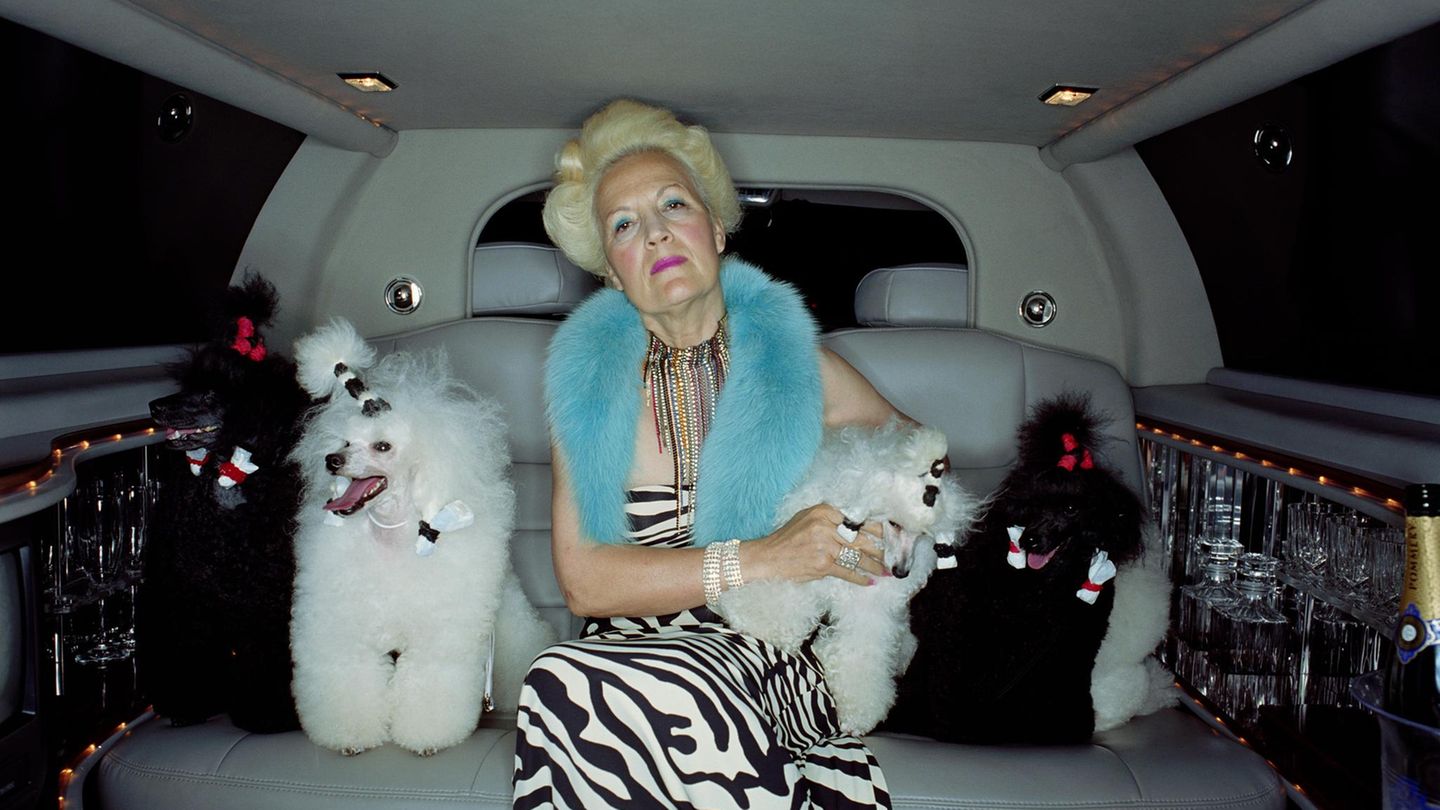 Eine Frau sitzt in einem Auto und hat verschiedene Hunde dabei