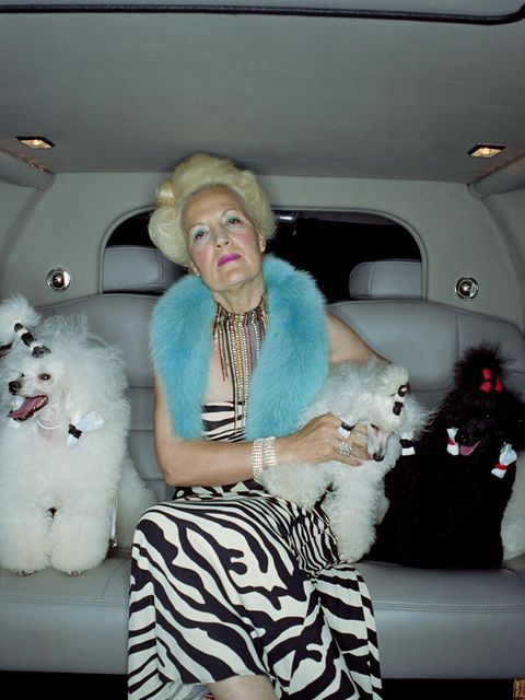 Eine Frau sitzt in einem Auto und hat verschiedene Hunde dabei