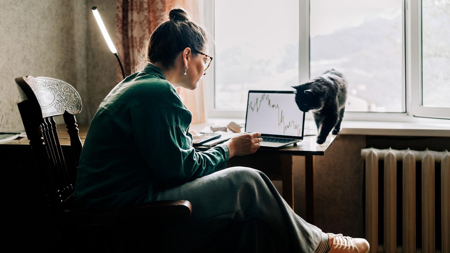 Symbolbild Depot: Eine Frau sitzt vor ihrem Computer, um den eine Katze herumschleicht