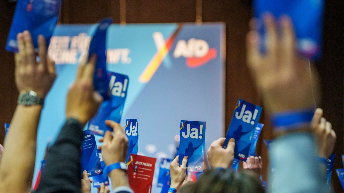 Mit der Jugendorganisation Generation Deutschland setzt die AfD auf einen Neuanfang – nun soll auch in Niedersachsen ein Landesv