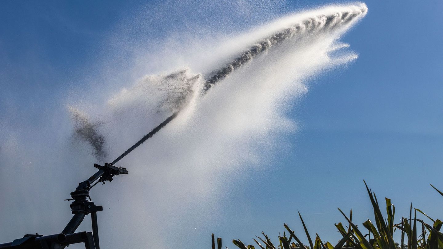 Die Feldberegnung soll im Grundsatz künftig etwas kosten. Foto: Philipp von Ditfurth/dpa