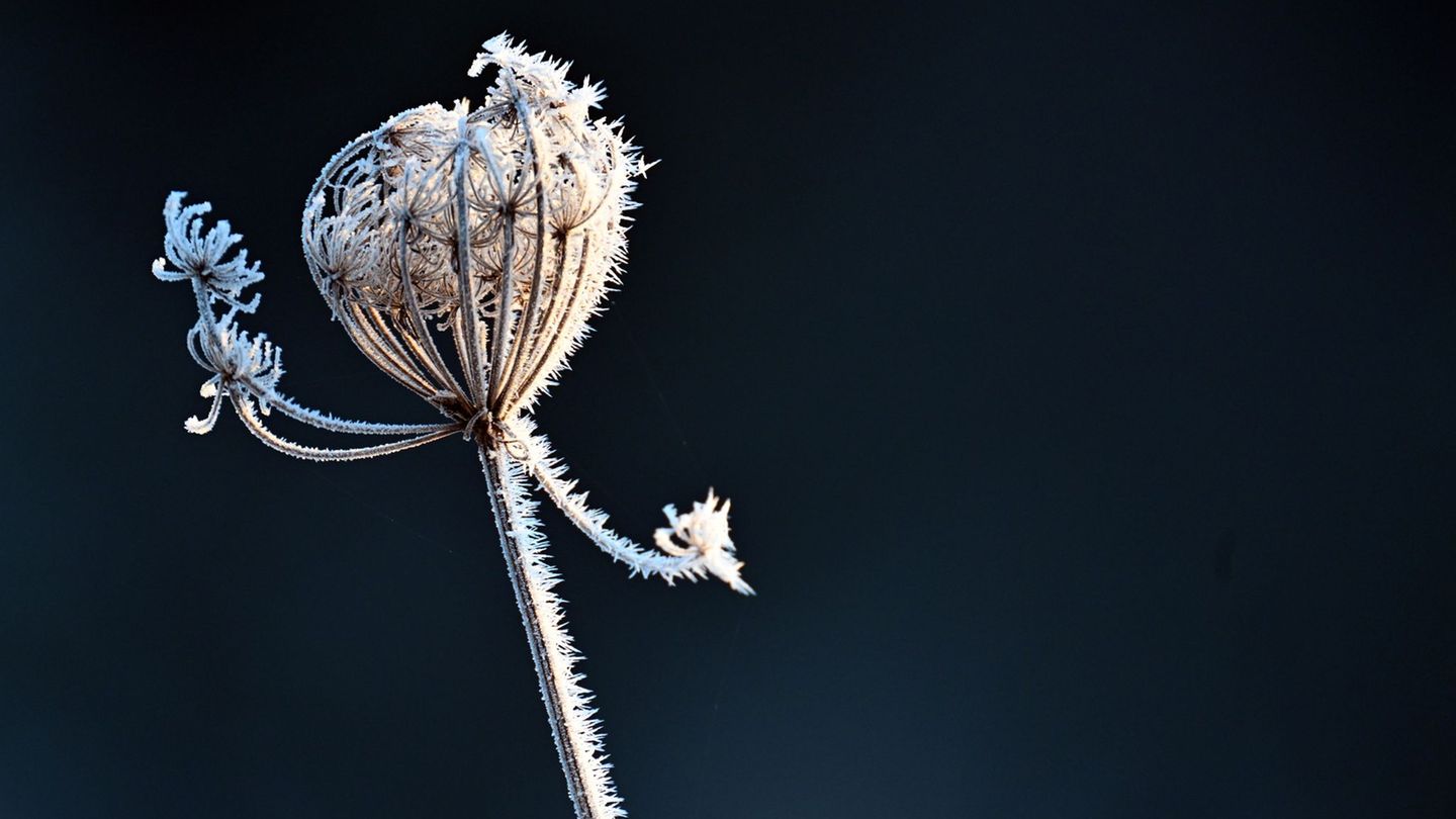 Winterwetter: Frostige Nächte mit glatten Straßen in NRW