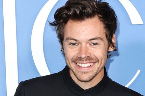 Vor Welttournee und Album-Release steht für Harry Styles die Übergabe eines Grammy-Preises an.