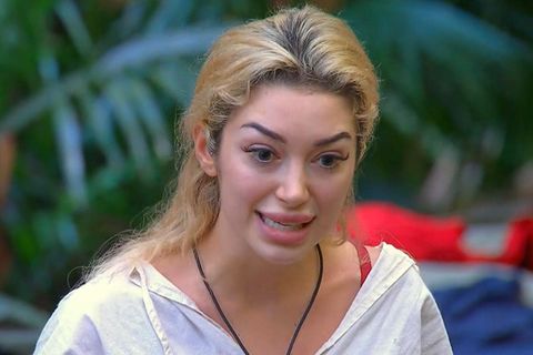 Dschungelcamp, Tag 4