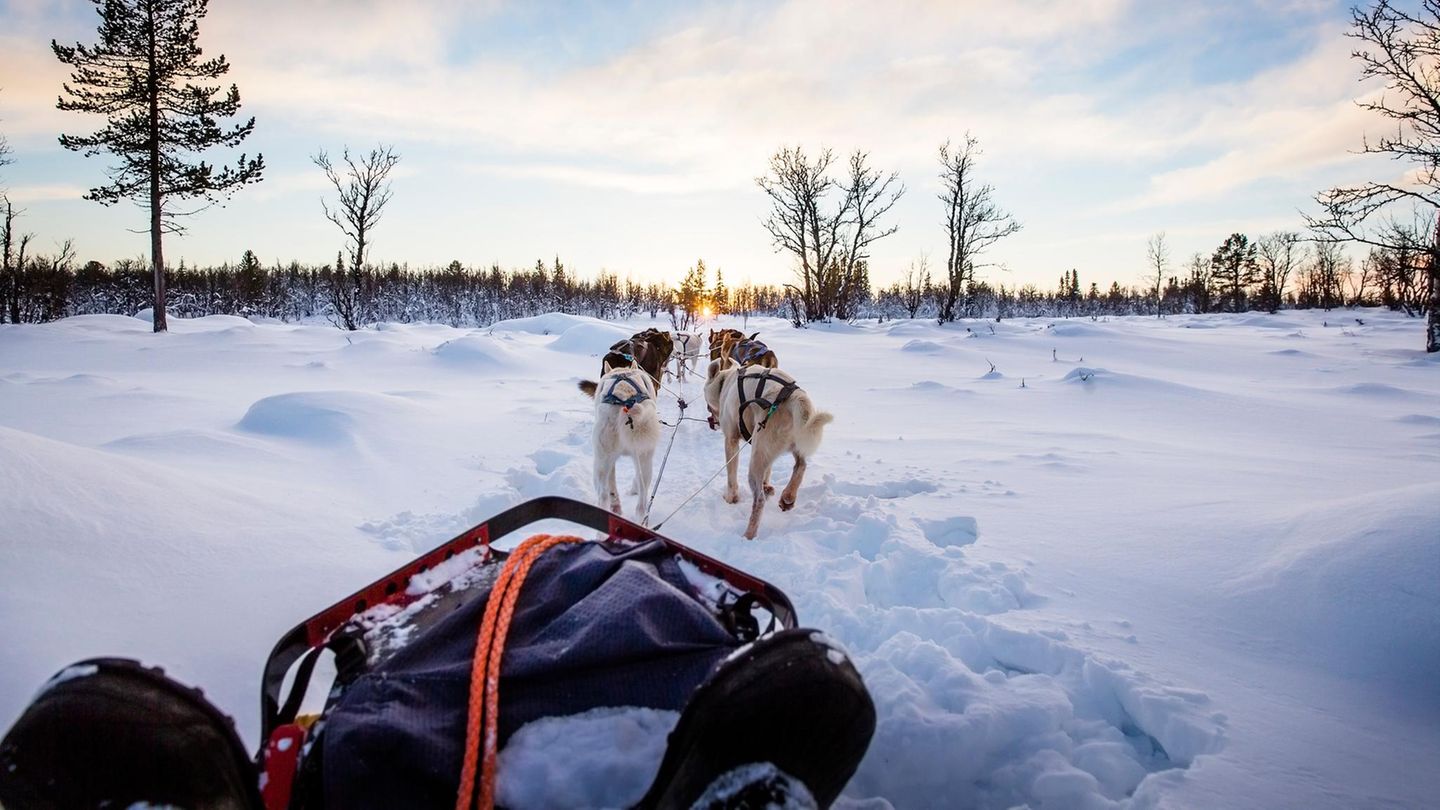 Husky Tour durch Grönland