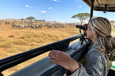 Safari mit Wildtieren