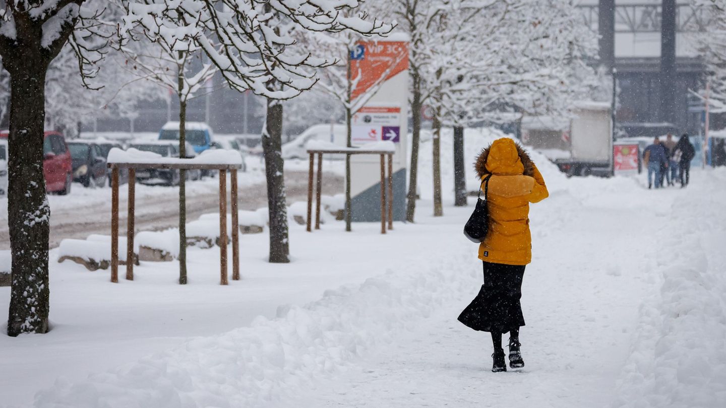 In Nürnberg hat sich viel Schnee auf den Ästen der Bäume gesammelt. Deshalb bleiben zwei große Friedhöfe vorsichtshalber geschlo