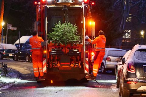 Mit dem Weihnachtsbaum-Entdecker-Service will die BSR die letzten Bäume entsorgen. (Symbolbild) Foto: Wolfram Steinberg/dpa