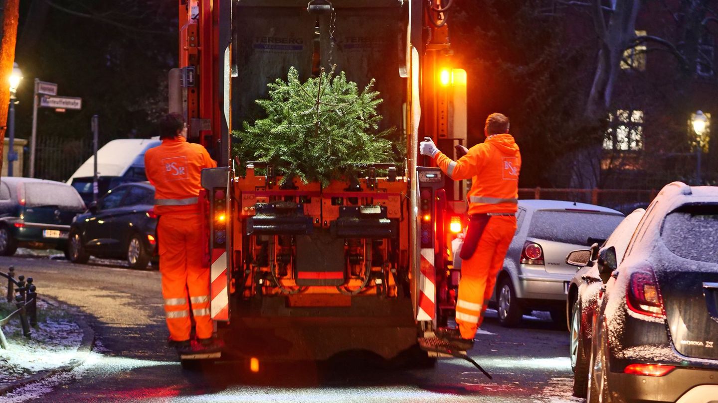 Mit dem Weihnachtsbaum-Entdecker-Service will die BSR die letzten Bäume entsorgen. (Symbolbild) Foto: Wolfram Steinberg/dpa