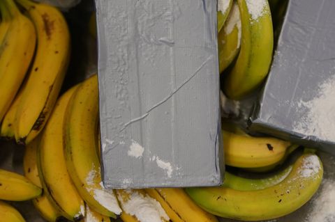 Kokain-Dealer suchen sich nach Angaben von Europol immer neue Schmuggelwege. (Symbolbild) Foto: Marcus Brandt/dpa