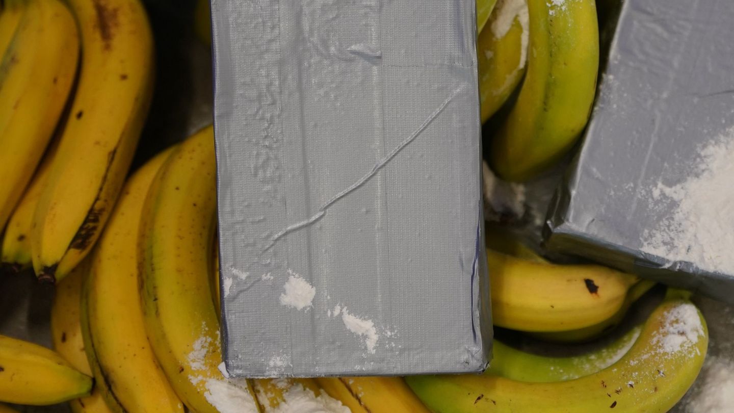 Kokain-Dealer suchen sich nach Angaben von Europol immer neue Schmuggelwege. (Symbolbild) Foto: Marcus Brandt/dpa