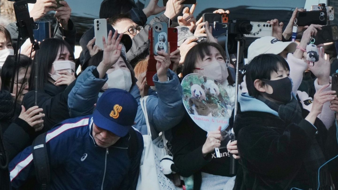 Trauer in Tokio: Fans verabschieden Panda-Zwillinge vor Abtransport nach China